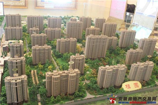 桂园沙盘图 16/27