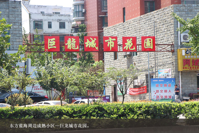 巨龙城市花园 6/11