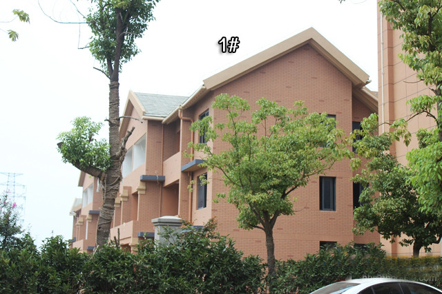 小区实景图 7/14