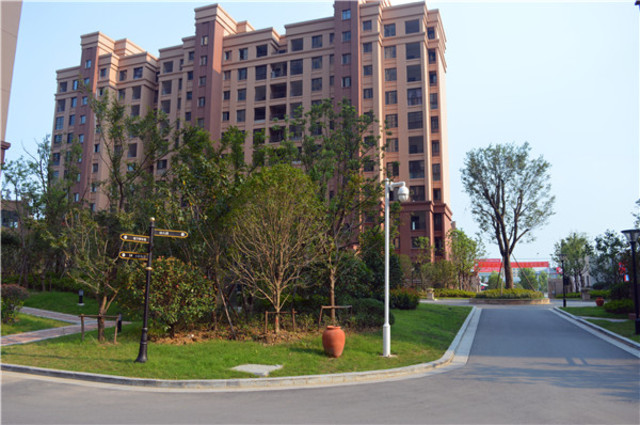 高速御景天地实景图 12/51