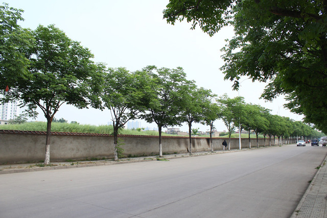 周边环境与配套 6/9