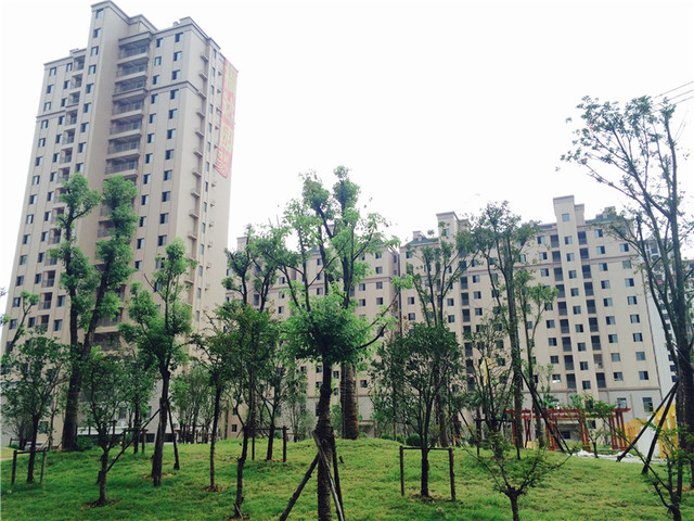 1、5#楼  2015年9月 4/4