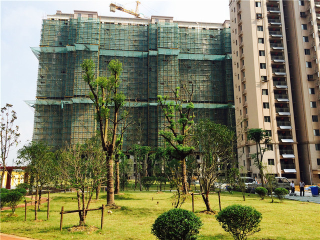 8#楼 2015年9月 2/4