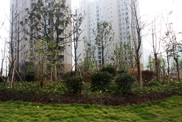 翰林学府小区实景 6/14