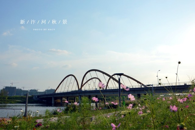 汴河秋景图 5/15