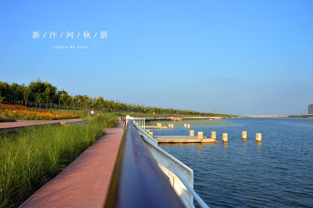 汴河秋景图 5/15