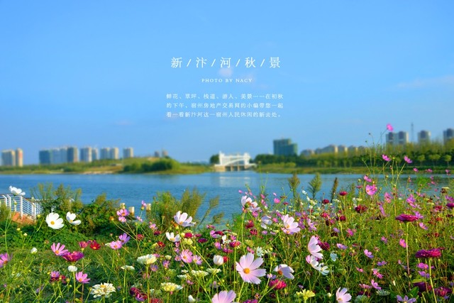 汴河秋景图 8/11