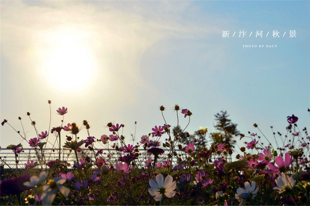 宿州新汴河景观带实景 10/27