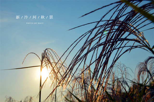 宿州新汴河景观带实景 7/27