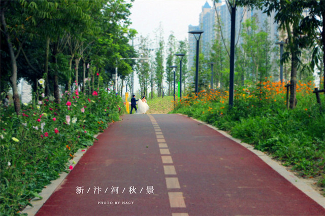 宿州新汴河景观带实景 5/27