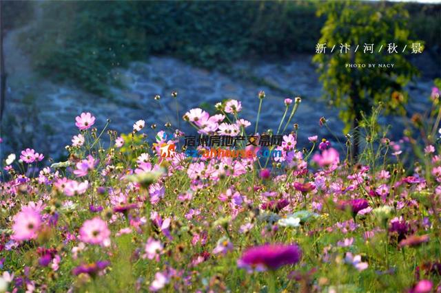 宿州新汴河景观带景色 17/45