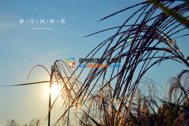 宿州新汴河景观带景色 15/45