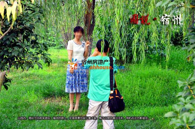 宿州三角洲公园景色 2/45