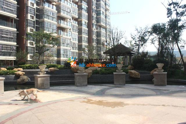 龙溪水岸小区实景 15/41