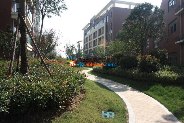 龙溪水岸小区实景 13/41