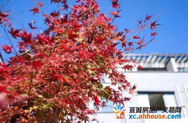 项目内部实景图 7/9