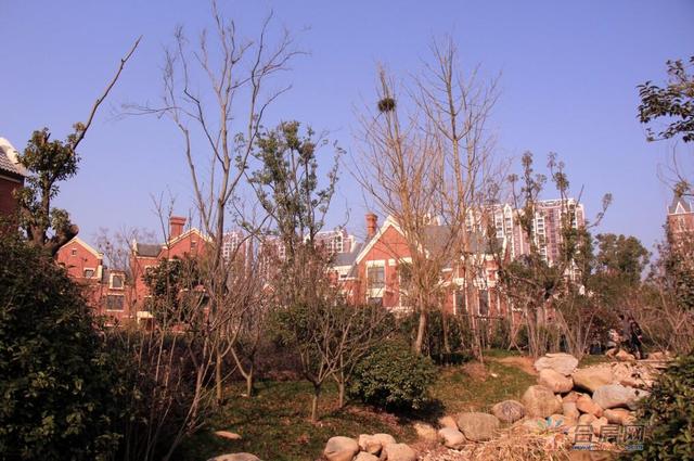 别墅实景图 18/18