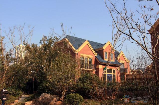 别墅实景图 8/18