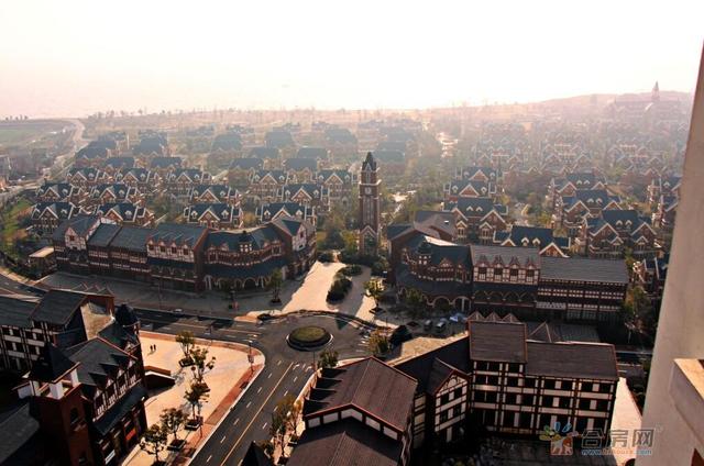 别墅实景鸟瞰图 3/18