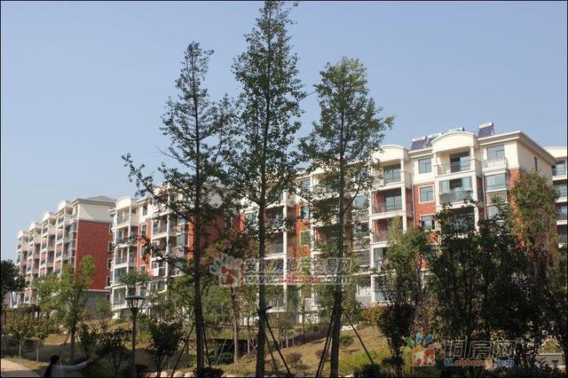 小区实景 4/4