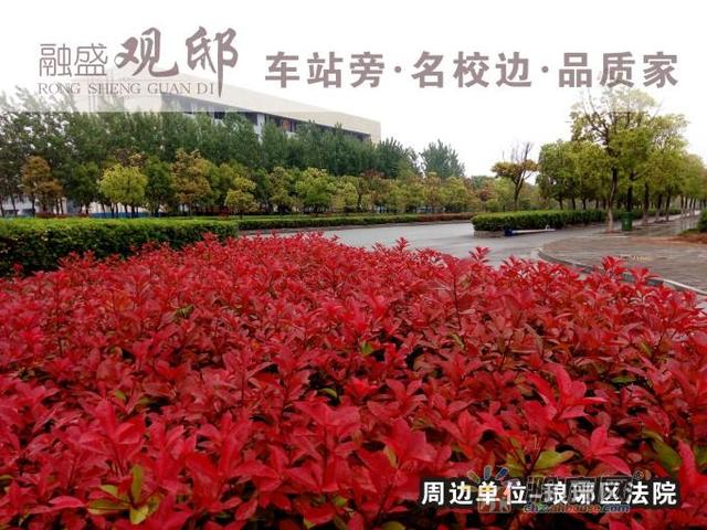 琅琊区法院 6/10