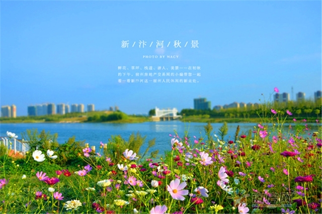 宿州新汴河景观带 17/18