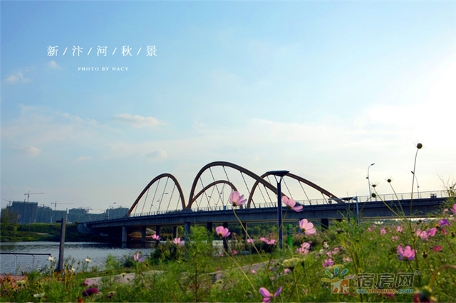 宿州新汴河景观带 10/18