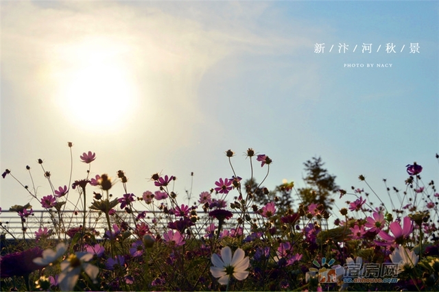 宿州新汴河景观带 11/18