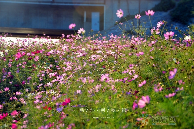 宿州新汴河景观带 13/18