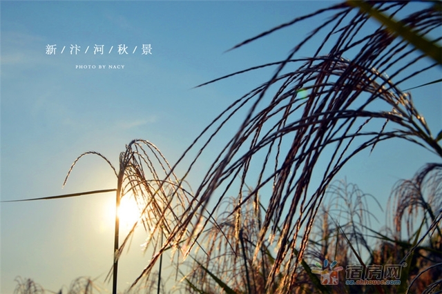 宿州新汴河景观带 7/18