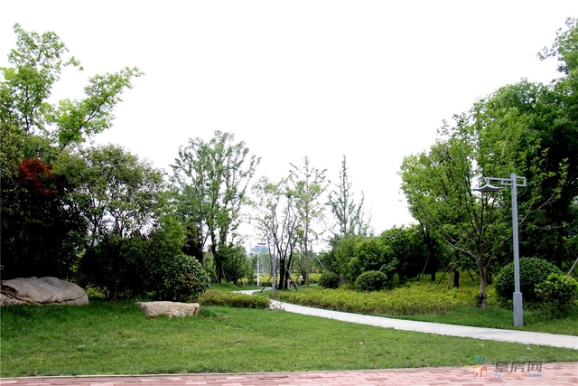 七渔河风景带 15/25