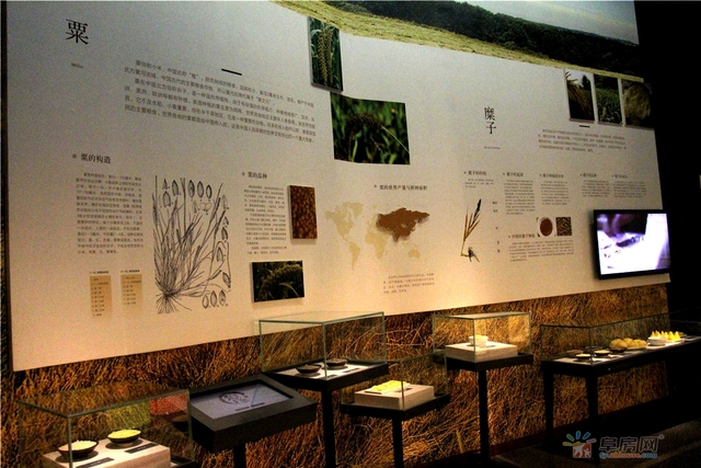 祥源文旅城粮仓博物馆 11/60