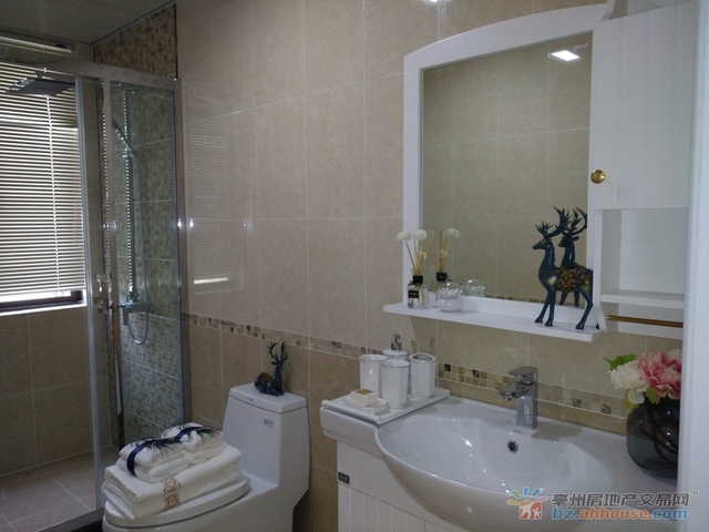 F户型卫生间 7/9