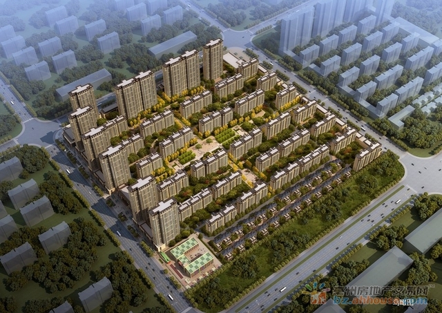 西片区鸟瞰图 11/19