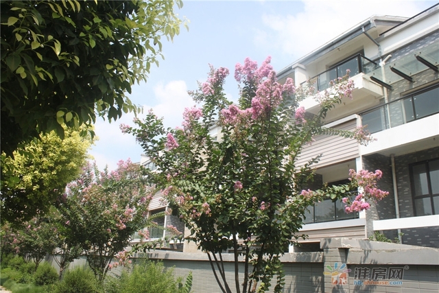 首府世家实景图 3/42