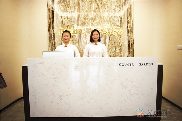 碧桂园塘溪源著城市展厅开放 16/19