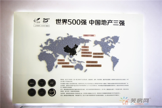 碧桂园塘溪源著城市展厅开放 13/19