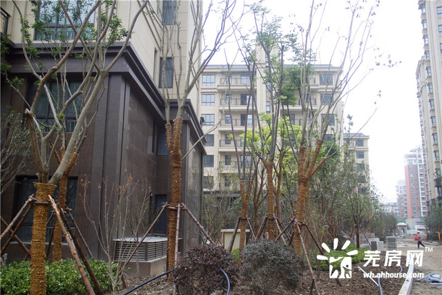 小区内部实景图 4/16