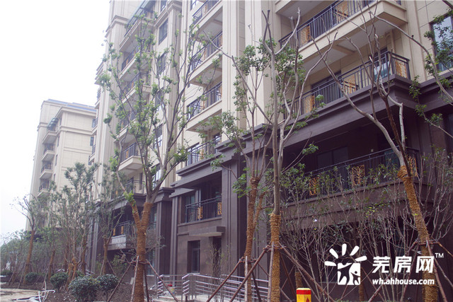 小区内部实景图 3/16