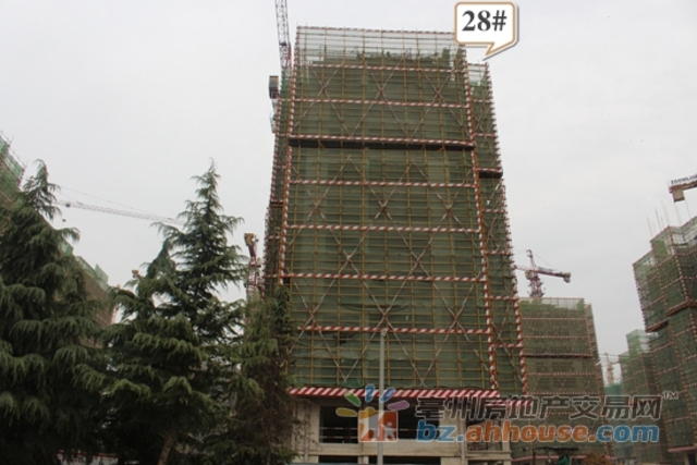 11月工程进度实景图 2/3