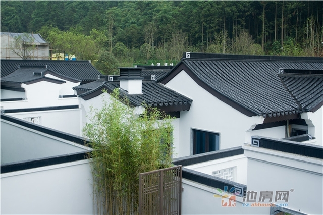 远洲·九华别院排屋公寓样板实景 4/35