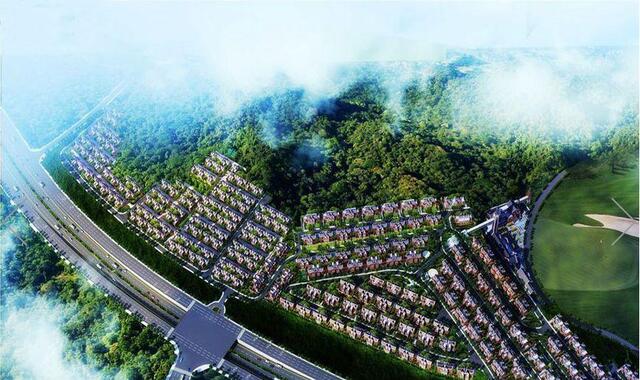 白晶九号鸟瞰图 5/6