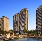 桐城-仙龙湖七里香溪