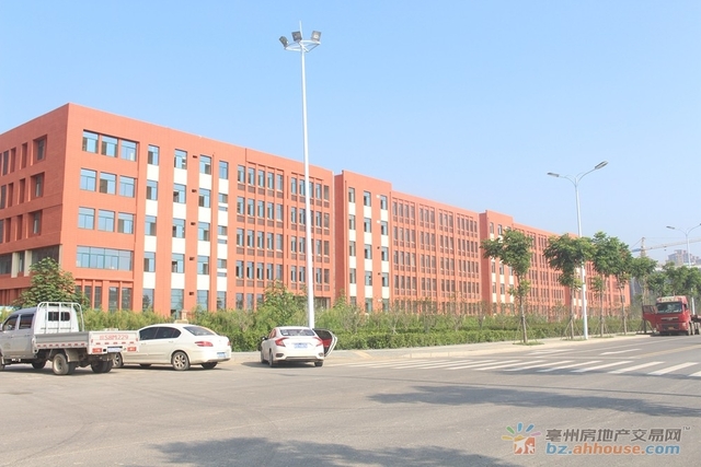 三十一中（含第一小学） 3/10