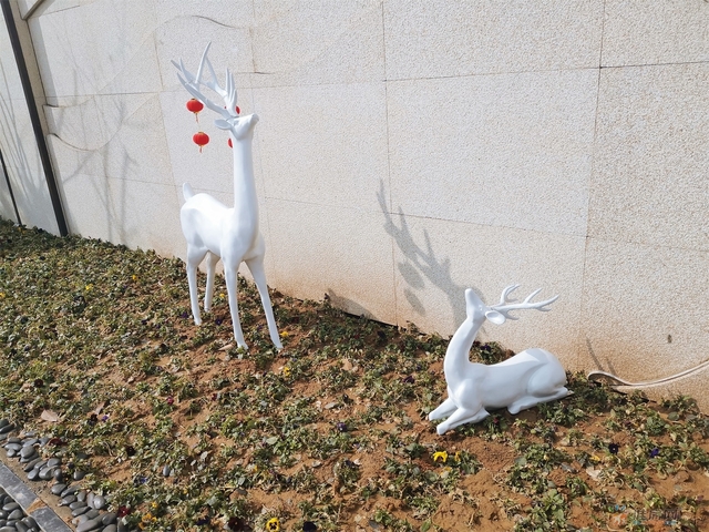 营销中心实景图 8/13