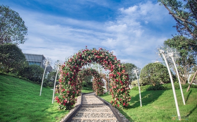 示范区实景图 8/13