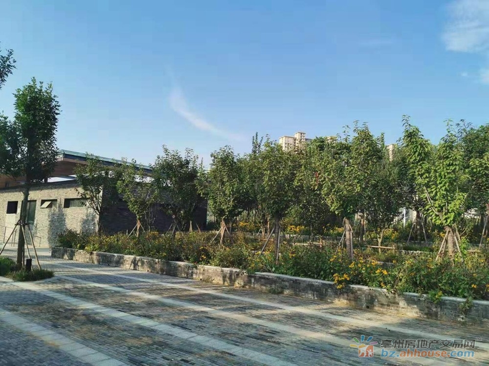 陵西湖公园实景图 5/9