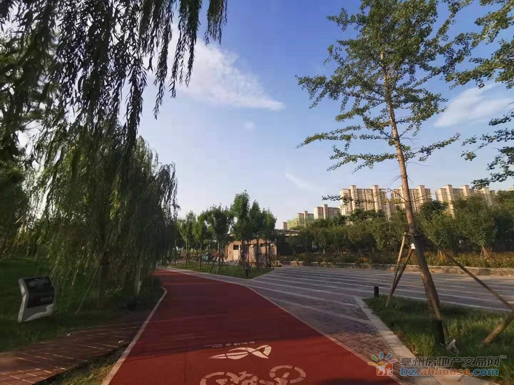 陵西湖公园实景图 4/9