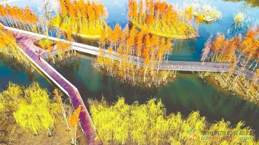 陵西湖公园实景图 3/9