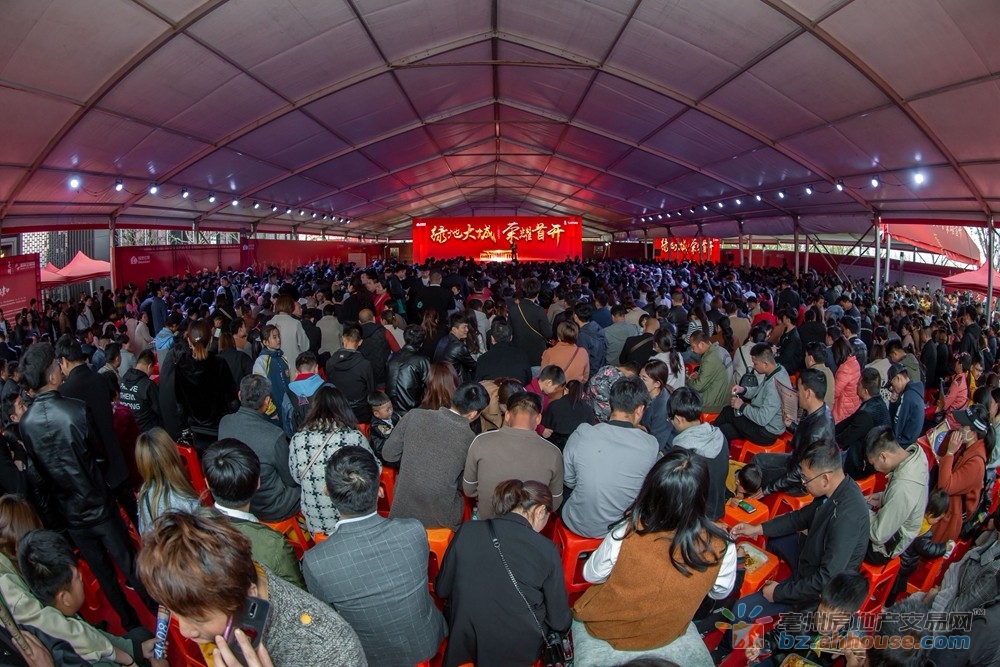 开盘人气图 2/11